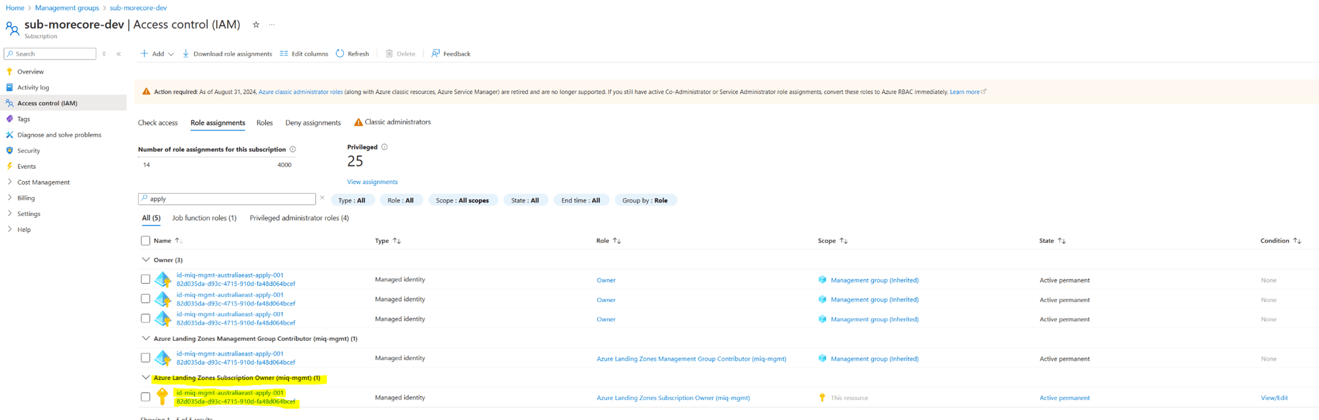 Subscription Role Assignments